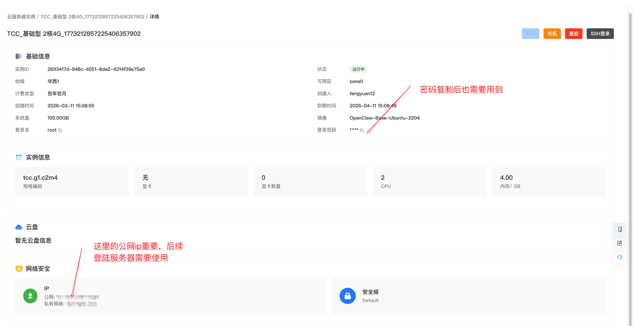 查看公网 IP 和密码